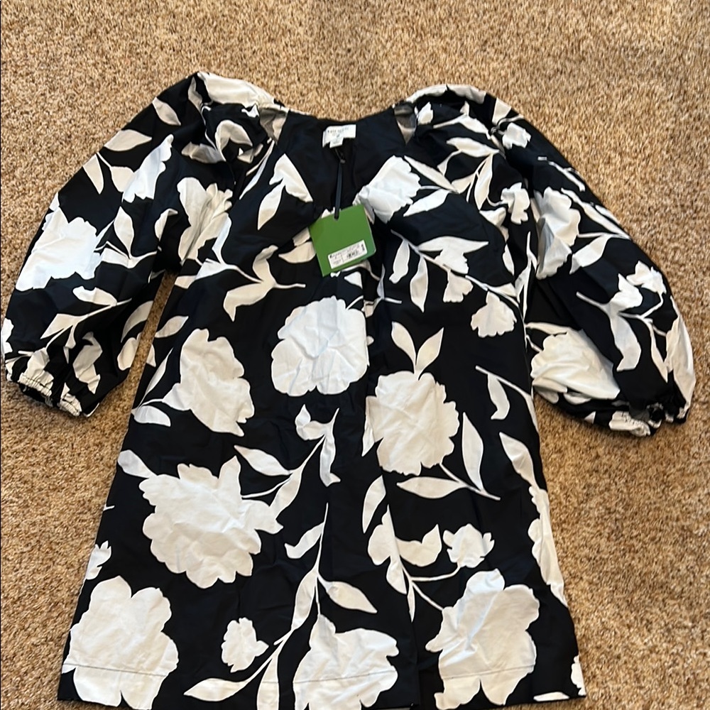 Kate Spade classic rose poplin dress